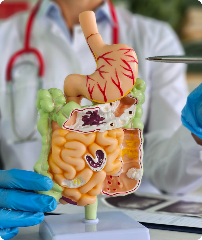 Telehealth Providers