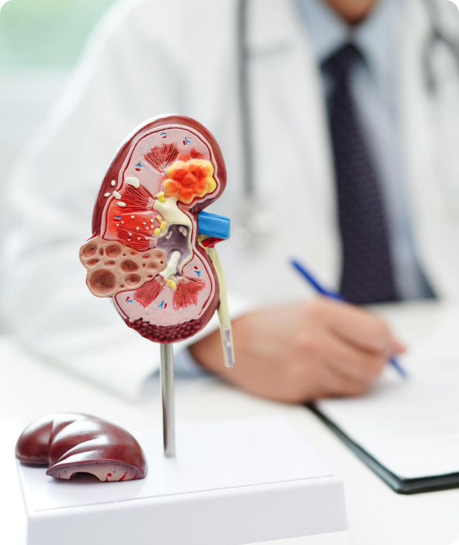 Telehealth Providers